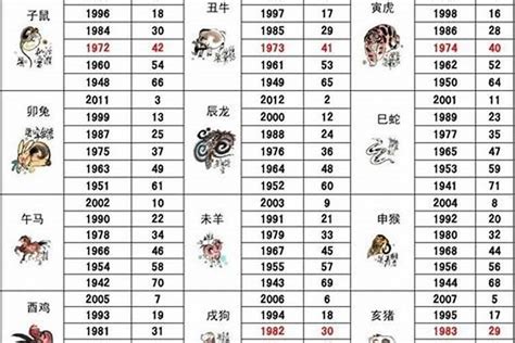 1989年属|1989年属什么生肖 和什么属相最配